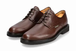 Men's Marlon Oxford Shoe In Chestnut
